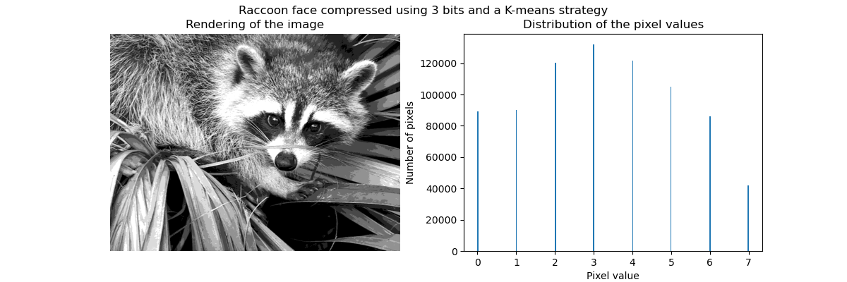 ../../_images/sphx_glr_plot_face_compress_004.png